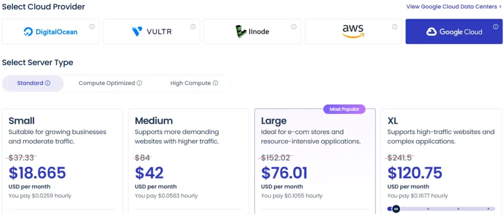 Cloudways Google Cloud Pricing